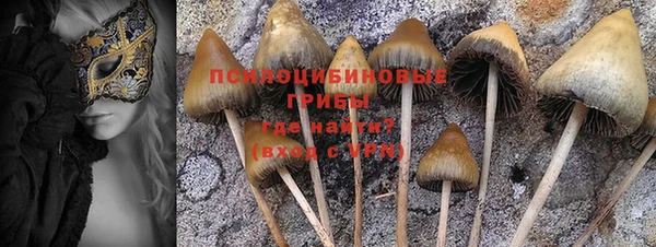 винт Баксан