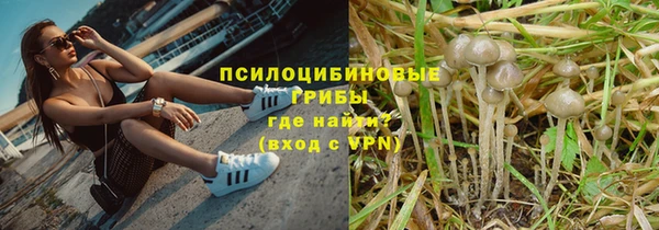 винт Баксан