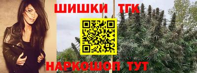 apvp Беслан