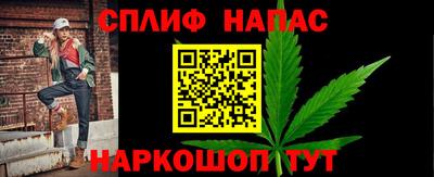 трава Бийск