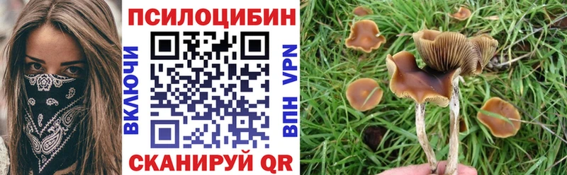 Псилоцибиновые грибы Psilocybine cubensis  Вятские Поляны 