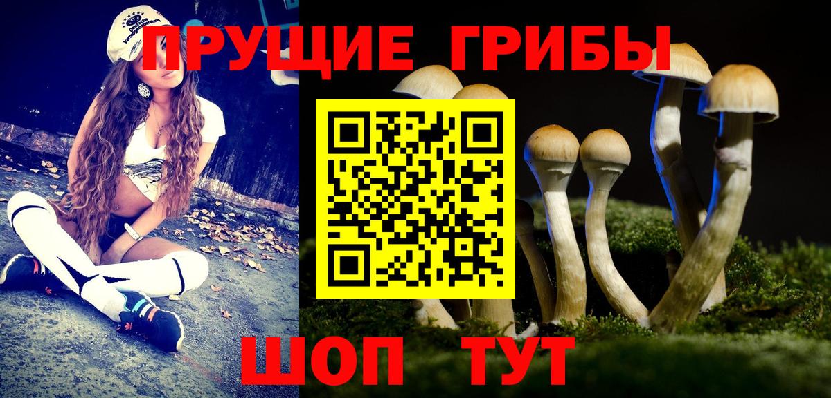 Вятские Поляны  Псилоцибиновые грибы мицелий  Галлюциногенные грибы Psilocybe  Вход с VPN 