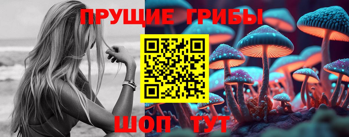 Псилоцибиновые грибы GOLDEN TEACHER Вятские Поляны