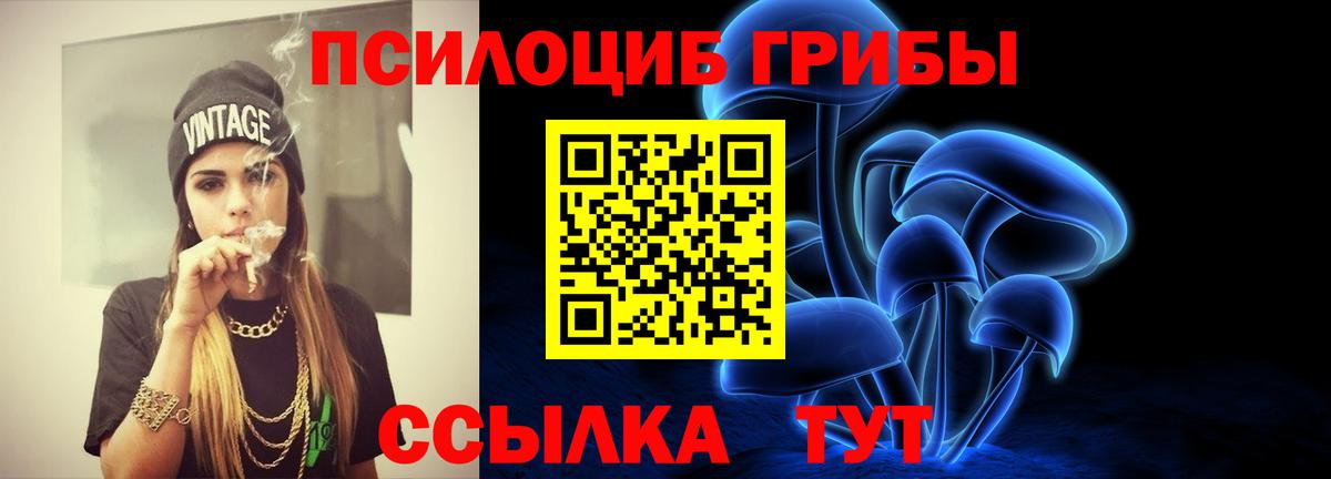 Псилоцибиновые грибы прущие грибы  Вятские Поляны 